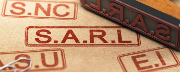 conseils-et-accompagnement-professionnel-pour-la-creation-d-une-entreprise-de-statut-sarl
