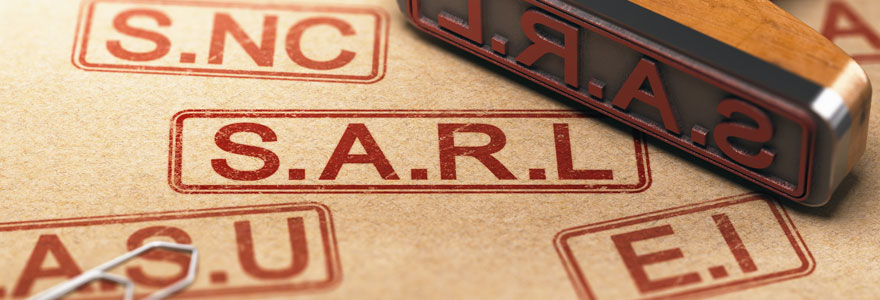 conseils-et-accompagnement-professionnel-pour-la-creation-d-une-entreprise-de-statut-sarl